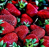 DIY Teeth Whitening Trends: Fact Or Fiction?