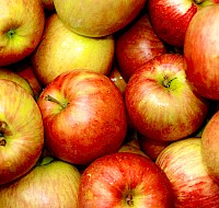 Easy Ways To Improve Your Dental Health